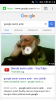 google a google senin amk yazmak / #989038