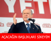 orkide ismet / #899287