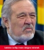 balıktan evrilip insan olduğuna inanmak / #989365