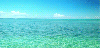 deniz