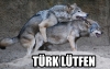 türk lütfen