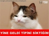 aşkım diyen evli erkek iticiliği / #914855