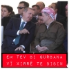 capsen kurdi