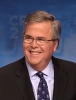 jeb bush