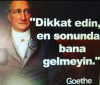 goethenin adını değiştirelim kampanyası / #892627