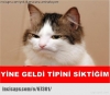 185ten kısa erkek / #829416