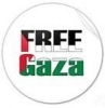 free gaza / #666224