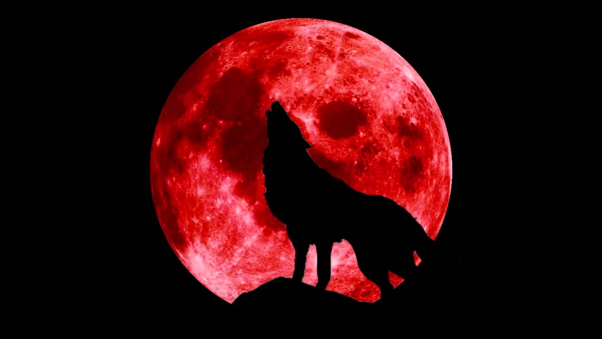 Луна кровавая слушать. Кровавая Луна / Bloodmoon (1997). Красная Луна ( Хантер Эрин ). Полнолуние красная Луна. Кровавое полнолуние.