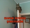 ölülerin gece mezarda dolaştığı gerçeği / #532570