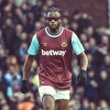 alexandre song