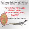 kertenkele öldürmenin sevap kazandırması / #758676