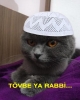 memelerini emip o tatla günler geçirmek istiyorum / #552819