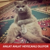 bir kedi karanlıkta uyuyabilir mi / #774927