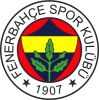 27 nisan 2014 fenerbahçe çaykur rizespor maçı / #622120