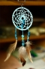 dreamcatcher