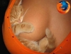 meme ve kediyle firefox simgesi yapmak / #711308