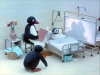 pingu