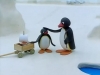 pingu