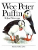 puffin