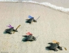 ninja kaplumbağalar
