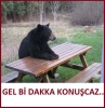 otobüste yanına oturan kızın kollarına değmek / #560751
