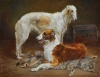 borzoi