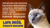 trafoya kedi girdi