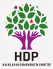 hdp logosu