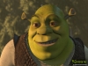 kerem bursin ve shrek in ibretlik benzerliği / #561655