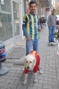 köpeğe galatasaray forması giydirmek / #658381