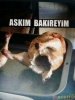 bakireyim diyen kızın patlak çıkması / #644249