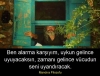 birazdan uyanacak yazarlara bırakılan notlar / #827033