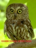 bu fotoğraf heyecan ve tebessüm içerir / #874751