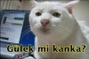 hamile bayanların mor ve ötesi konserine gitmemesi / #622176
