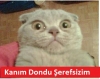 teşekkür ettiğiniz için teşekkür ederim / #855446