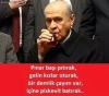 gecenin devlet bahçeli capsi / #859631