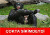 itiraf ediyorum etuuu nun türbanlı bacısı benim / #819349