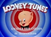 porky pig / #558911