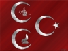 mhp nin aslında tırt bir parti olduğu gerçeği / #672657