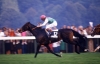 dancing brave / #612880