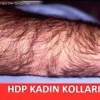 hdp li kızlar / #857477