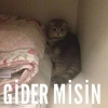 hoşlanılan kızın aniden mesaj atması / #709765