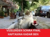 vizelerden önce vs vizelerden sonra / #620551
