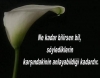 yazarların kendini motive ettiği cümleler / #574940