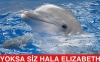 yunusla cinsel ilişkiye giren kadın / #643362