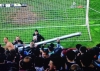 fenerbahçe nin her sene hamsiyi buğulama yapması / #599554