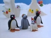 pingu / #722522