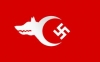 türk nazi partisi / #654541