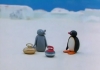 pingu / #722508