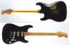 the black stratocaster